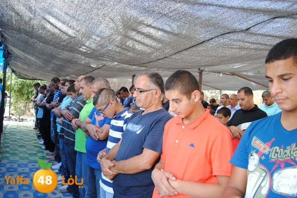 jom3a dahmash3 (15).JPG